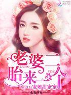 一胎二宝 总裁宠妻太甜蜜